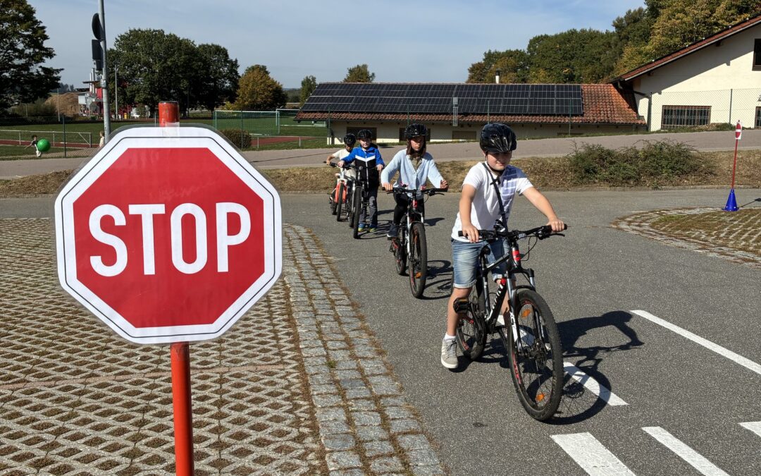 Verkehrserziehungstag